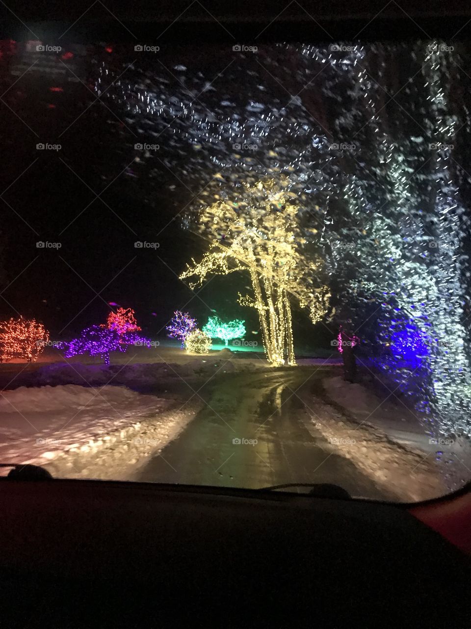Pretty lights