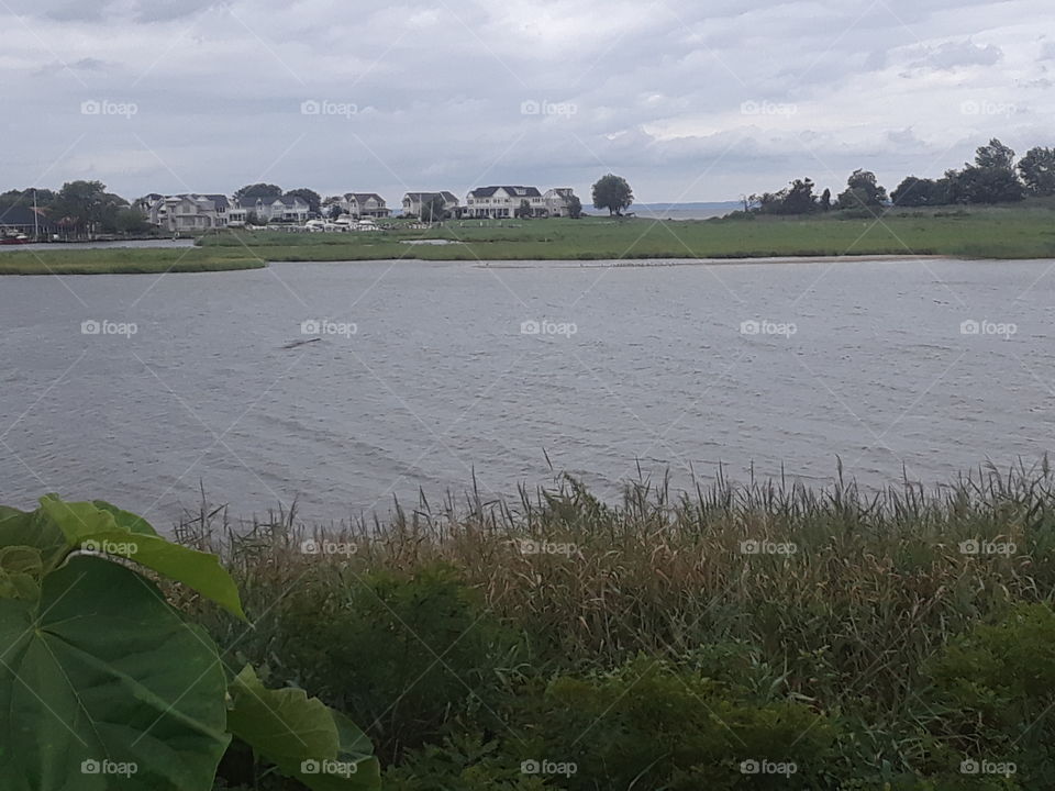 Tilghman Island Maryland