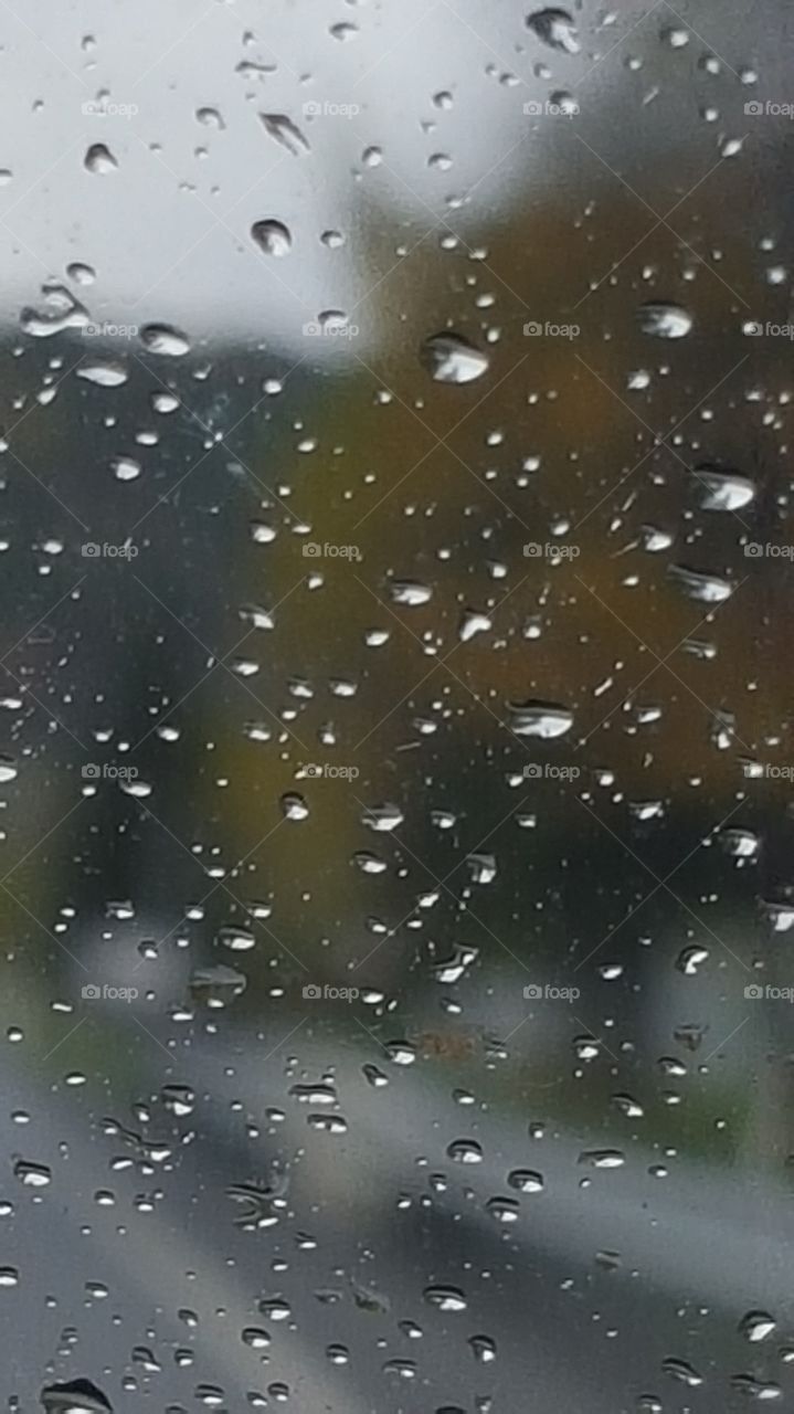 drops on windshield