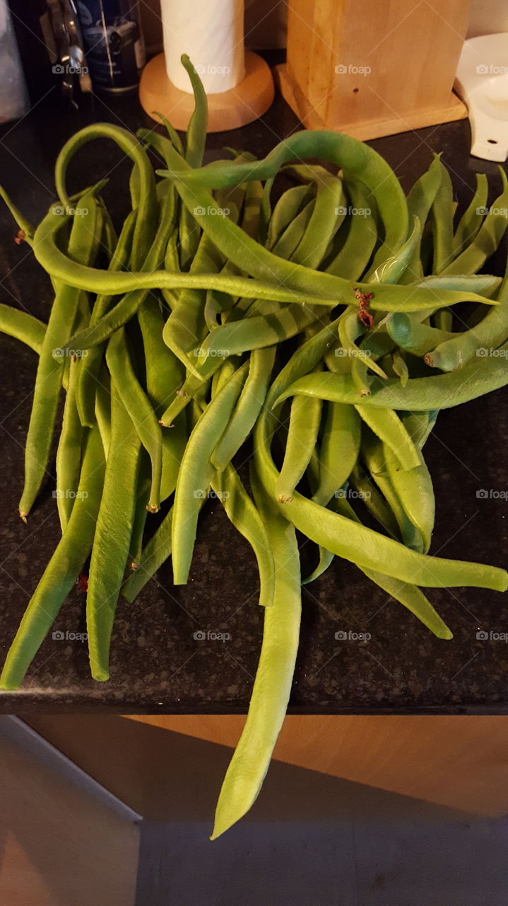 fresh green beans