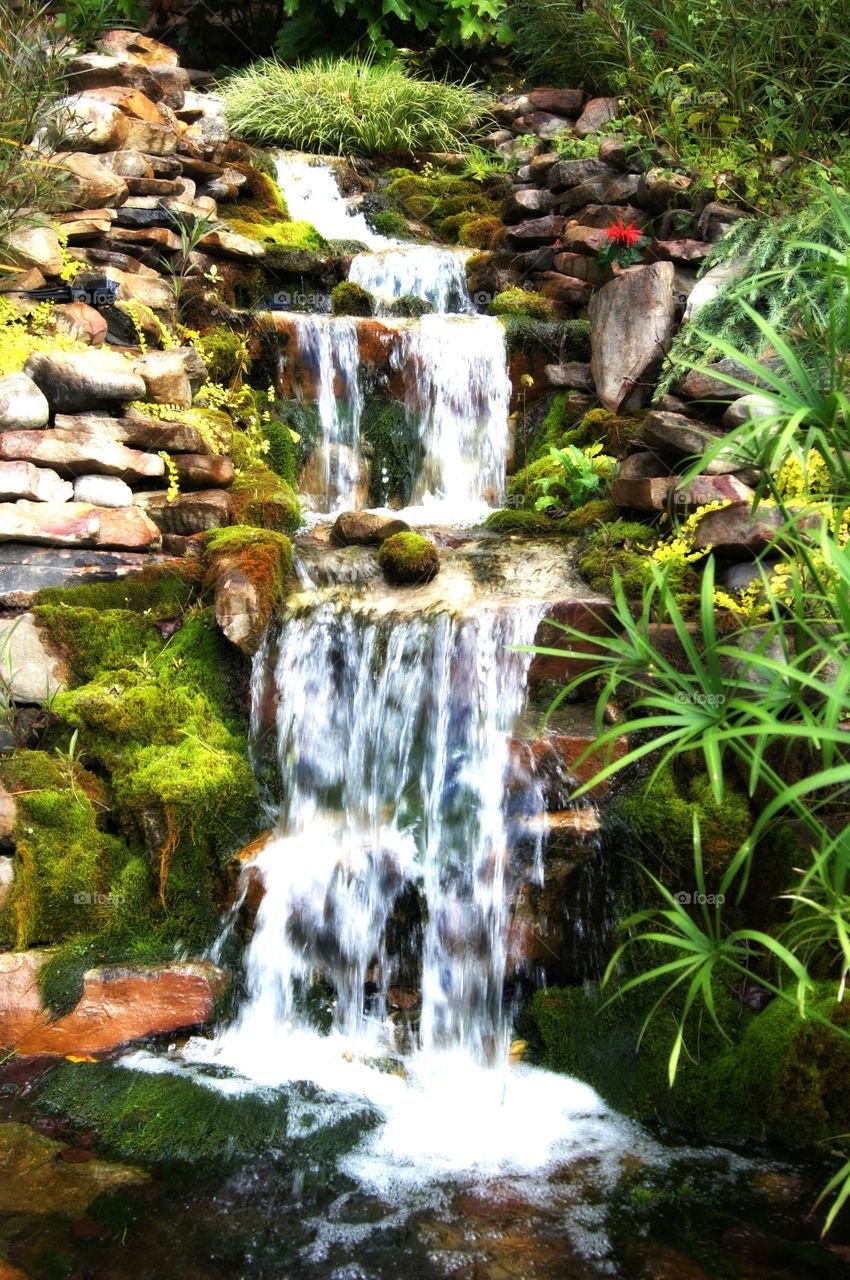 Waterfall in forest