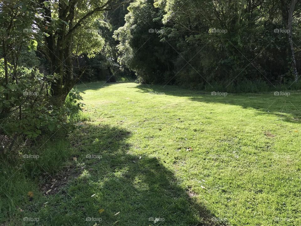 Sunny, green pathway with concrete furnace in background.
