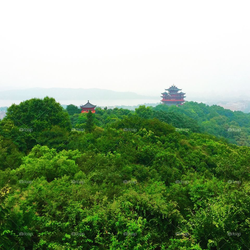 Mysterious pagodas. Pagodas piercing through the forest in Hangzhou, China