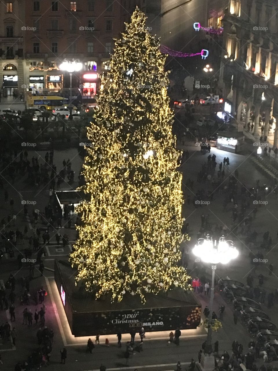 Milano’s christmas tree 