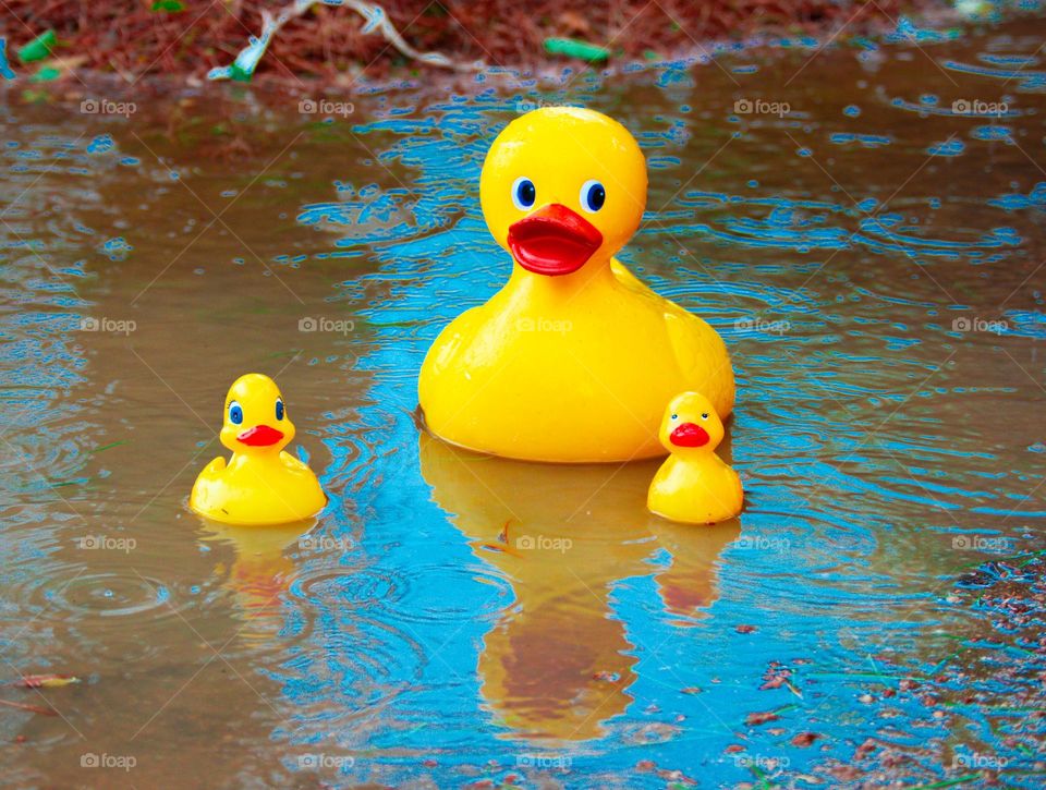 Blue skies on a rainy day
