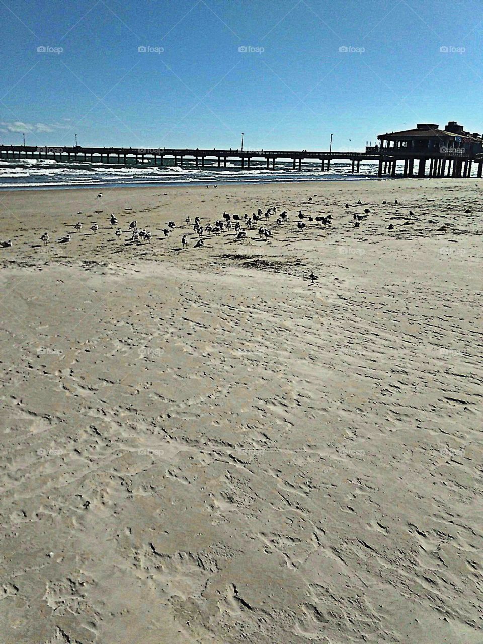 Lonely Beach In Winter