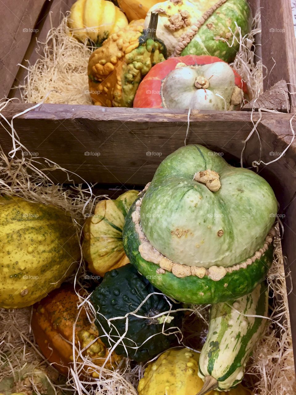 Wooden box with colorful pumpkins