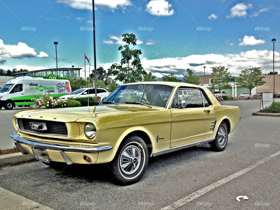 1966 Ford Mustang. 1966 Canary yellow Ford Mustang