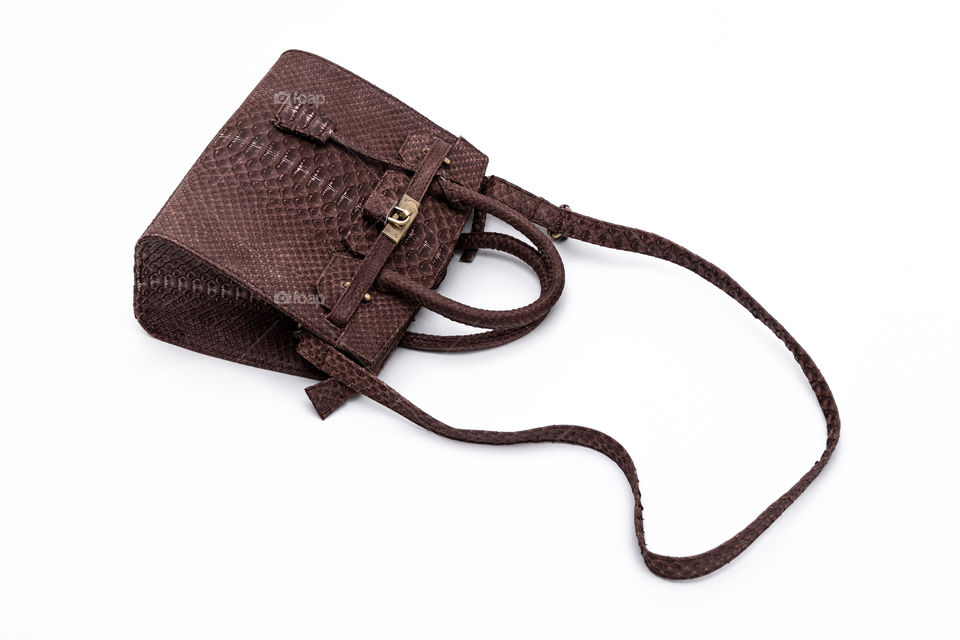 Fashion luxury snakeskin python handbag.
