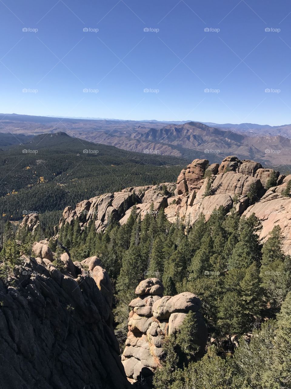 Devil's Head Trail - Pike National Forest - Colorado 