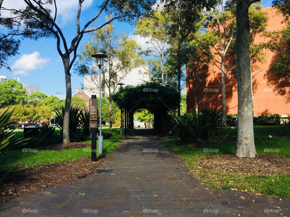 Secret garden in central Sydney 