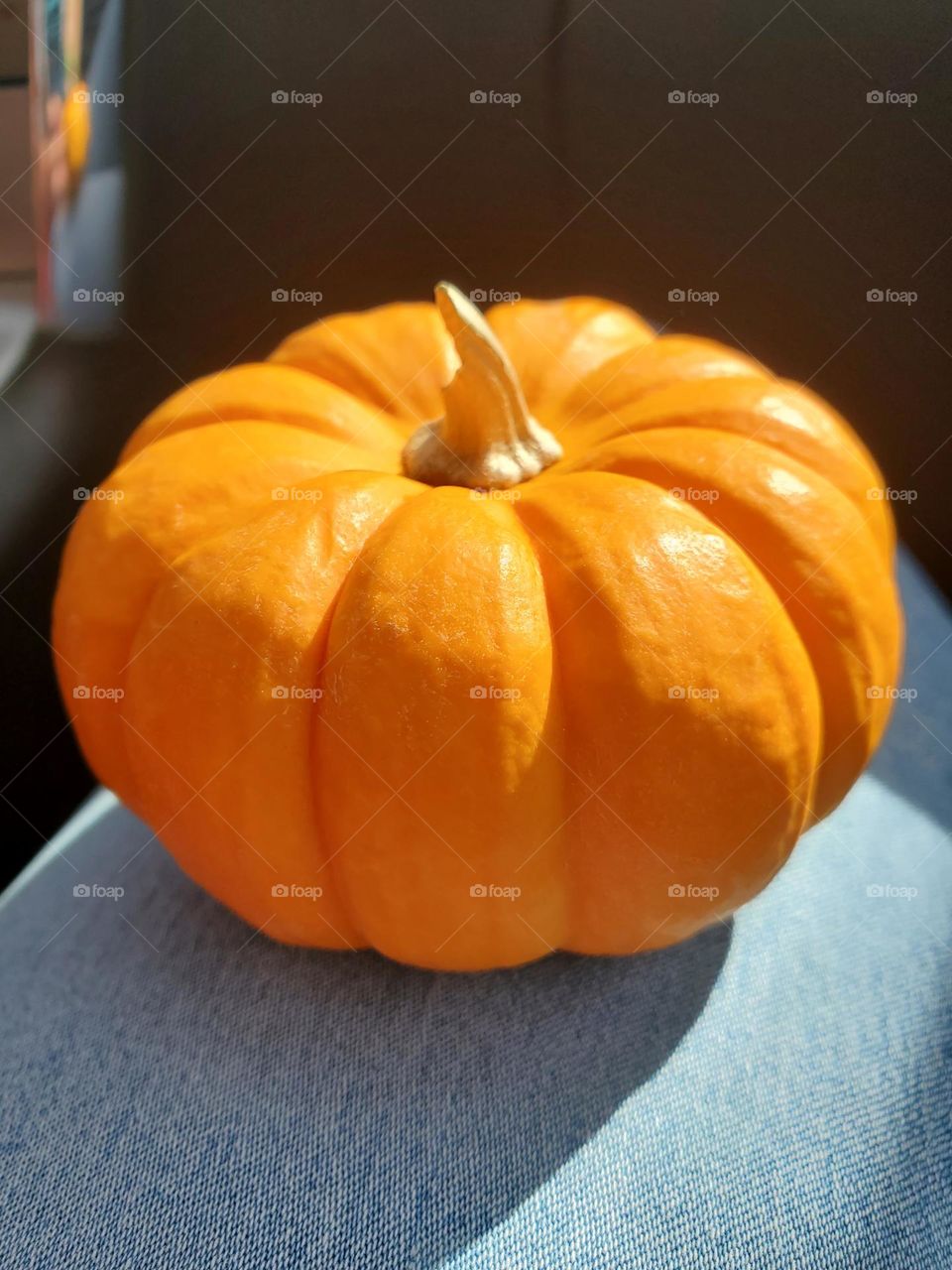 Mini pumpkin for Papa
