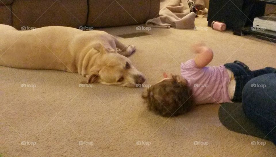 Child's best friend. Toddler talks to dog. Dog actually listening.