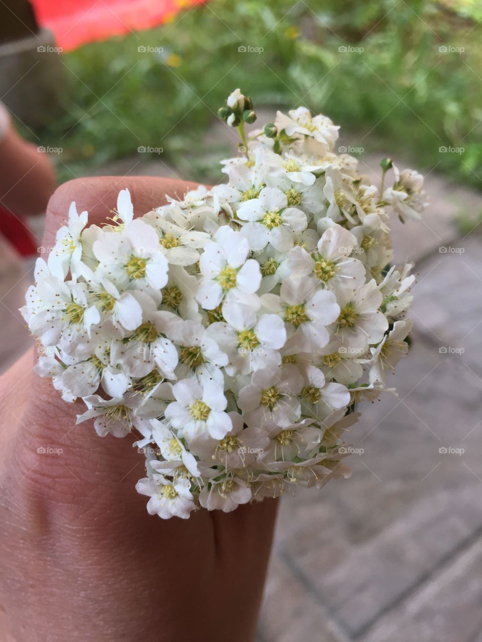 Handmade flower bouquet 