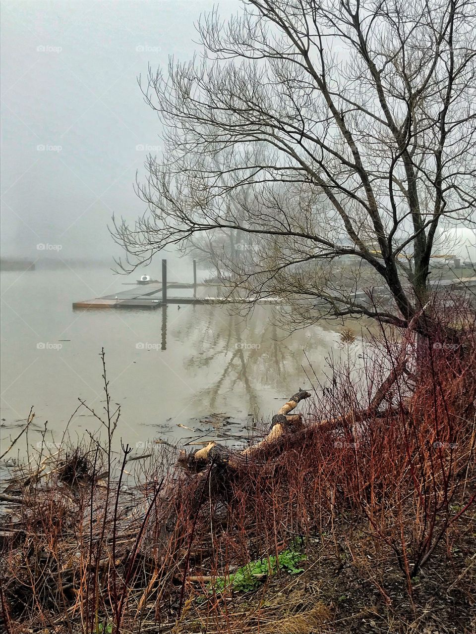 Foggy dock