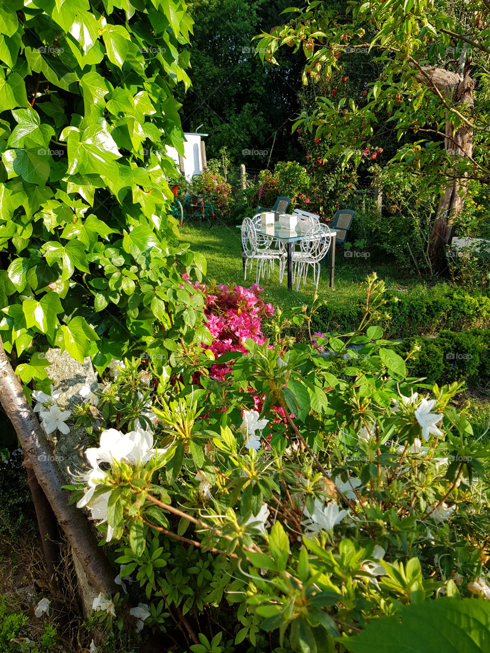 Garden in spring