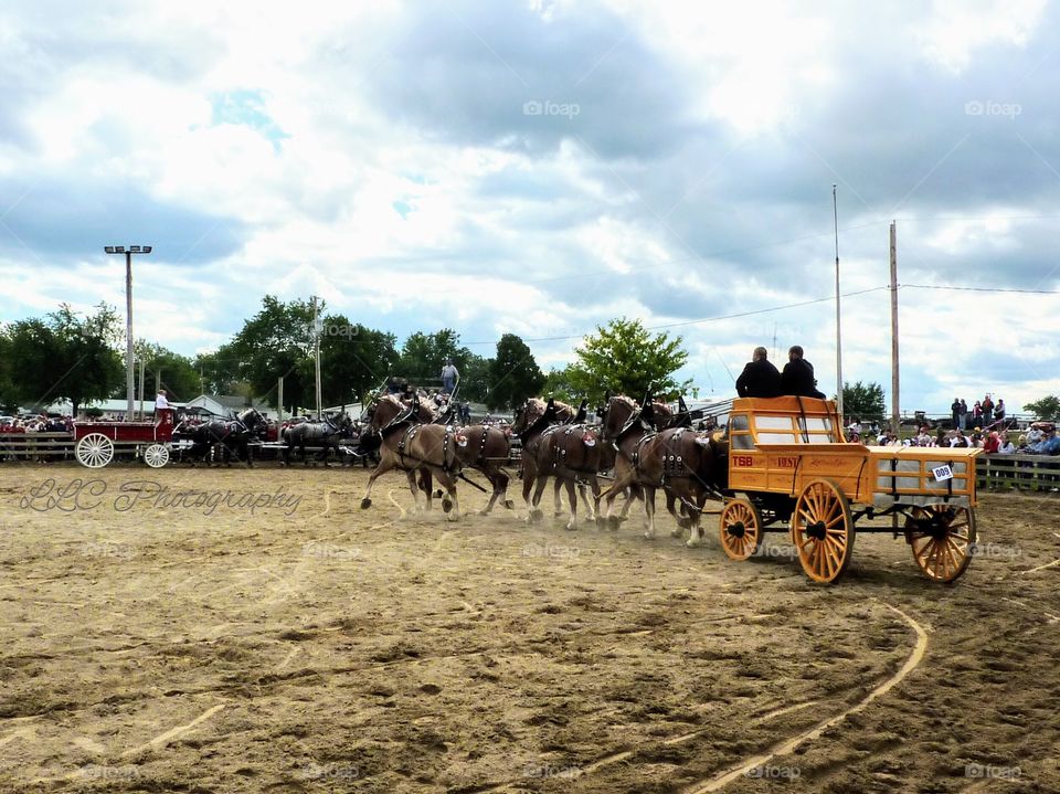 Canfield Fair in Ohio