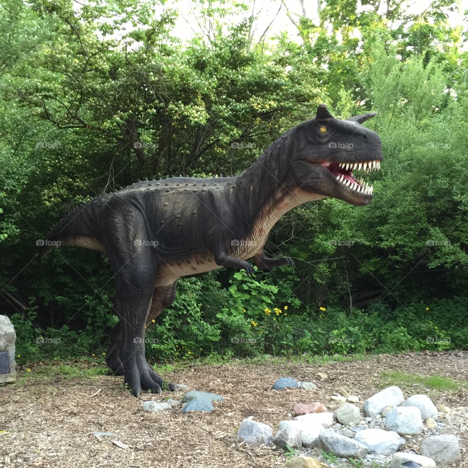 King's Island, Ohio carnotaurus dinosaur statue