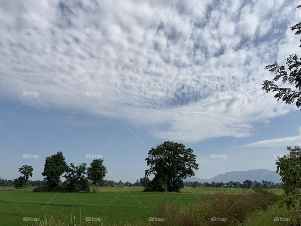 Editors ‘ choice : Photo of the week, Countryside 