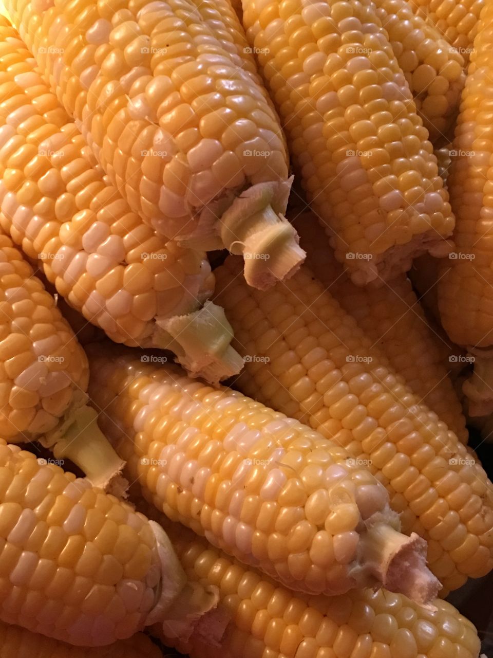 Corn for winter