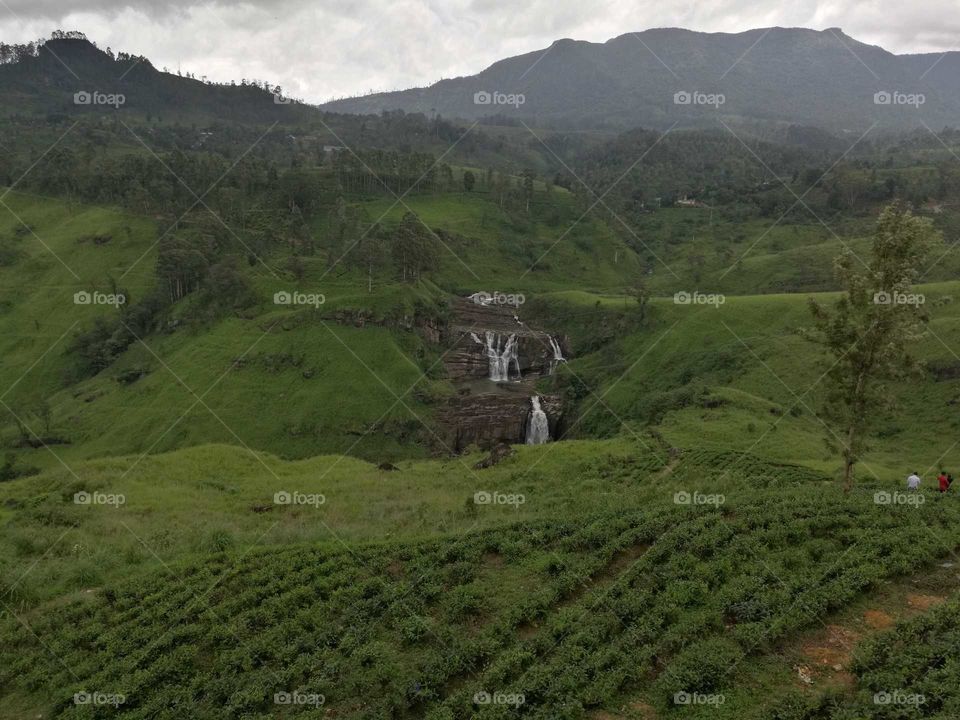 Nuwara Sri Lanka