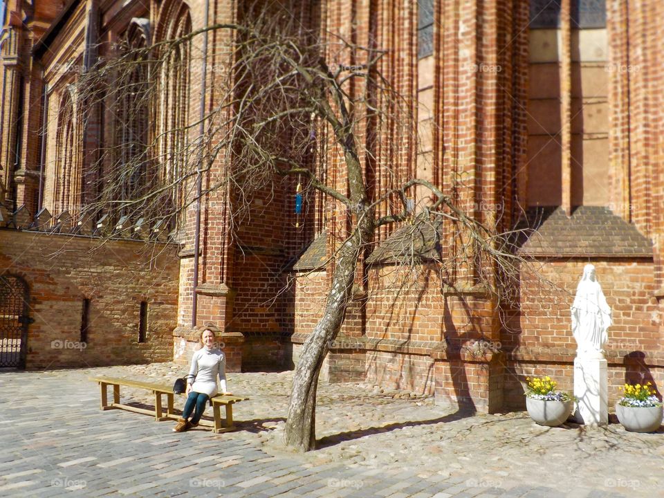 Churchyard bench under a tree Vilnius 