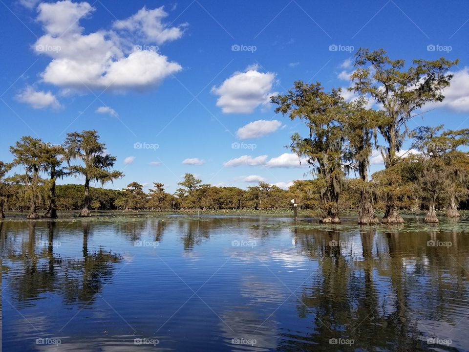 Caddo Lake Reflected Clouds