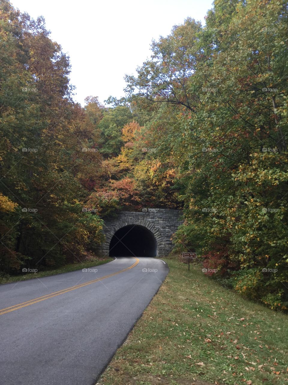 Fall Tunnel
