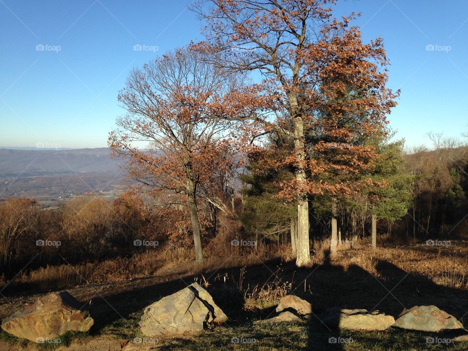 Skyline drive