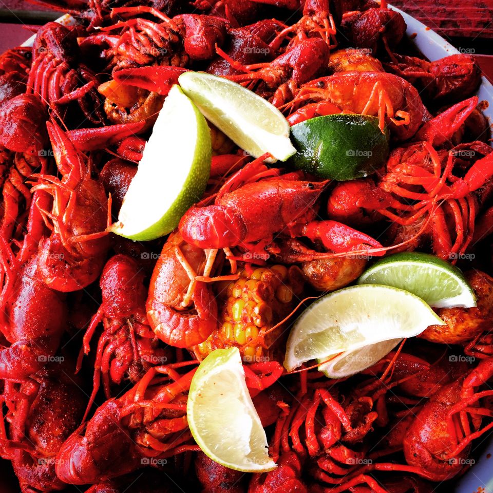 Crawfish 