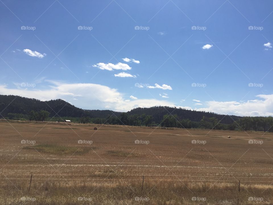 Landscape, No Person, Agriculture, Outdoors, Sky