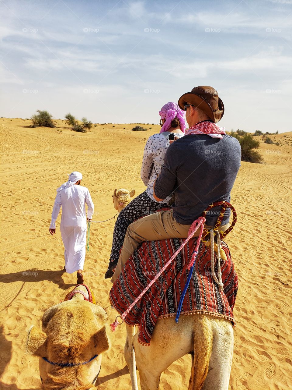 Desert Safari camel ride