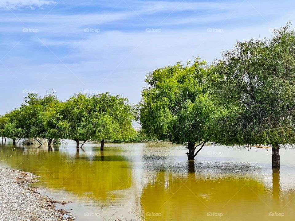 rain rain and flood