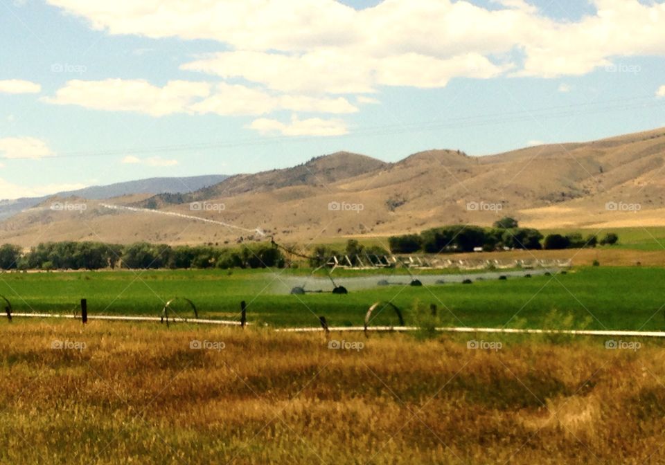 Scenic farmland
