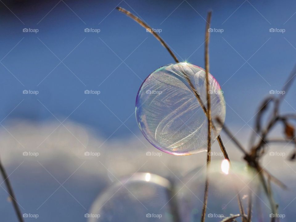 Frozen soap bubbles