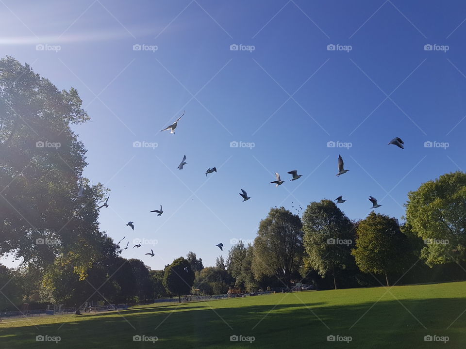 Nice shots in a nice day