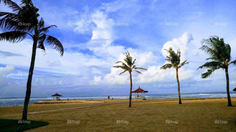 Summer landscape 🌴🤍☁️💙🌴