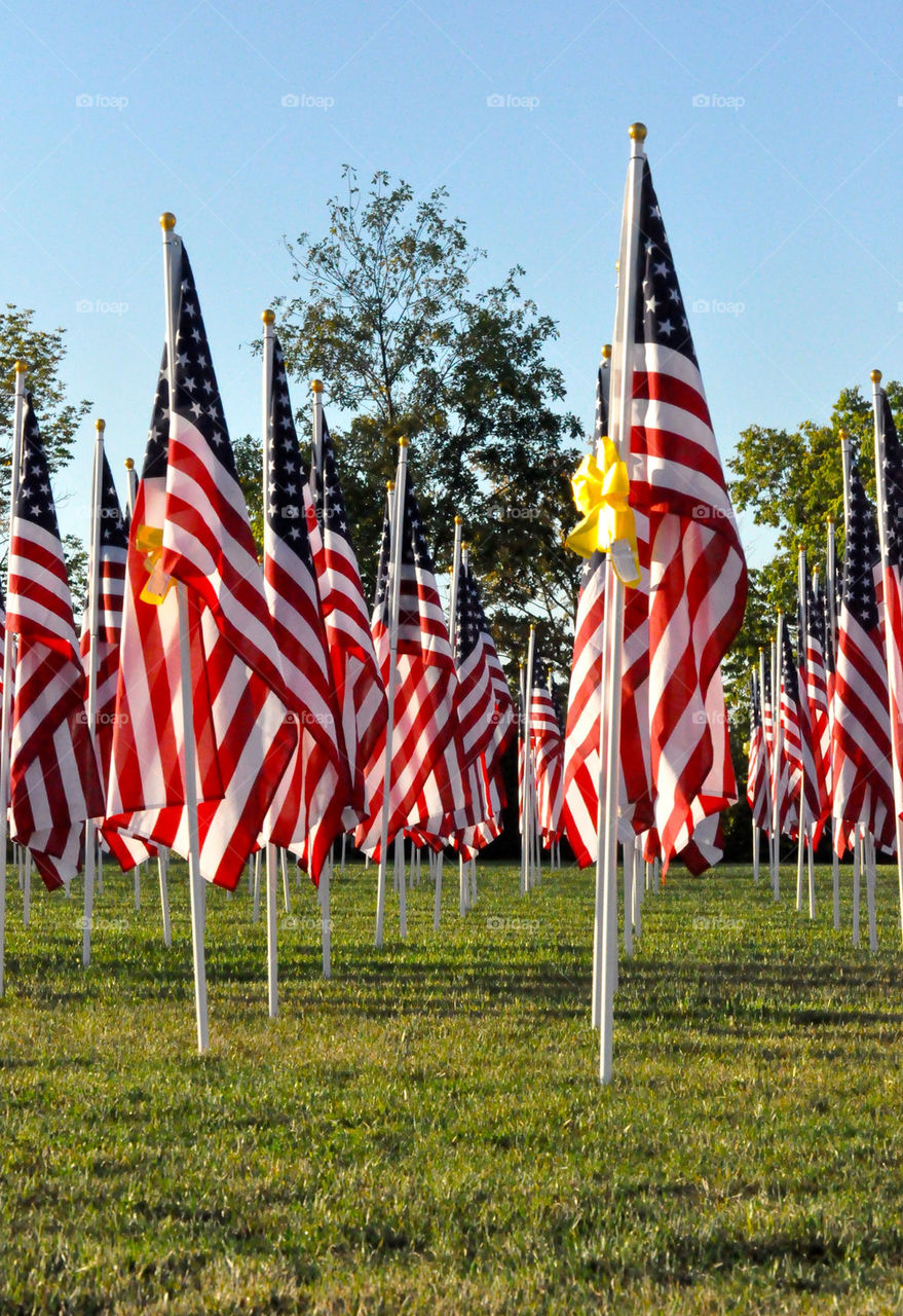 Flags