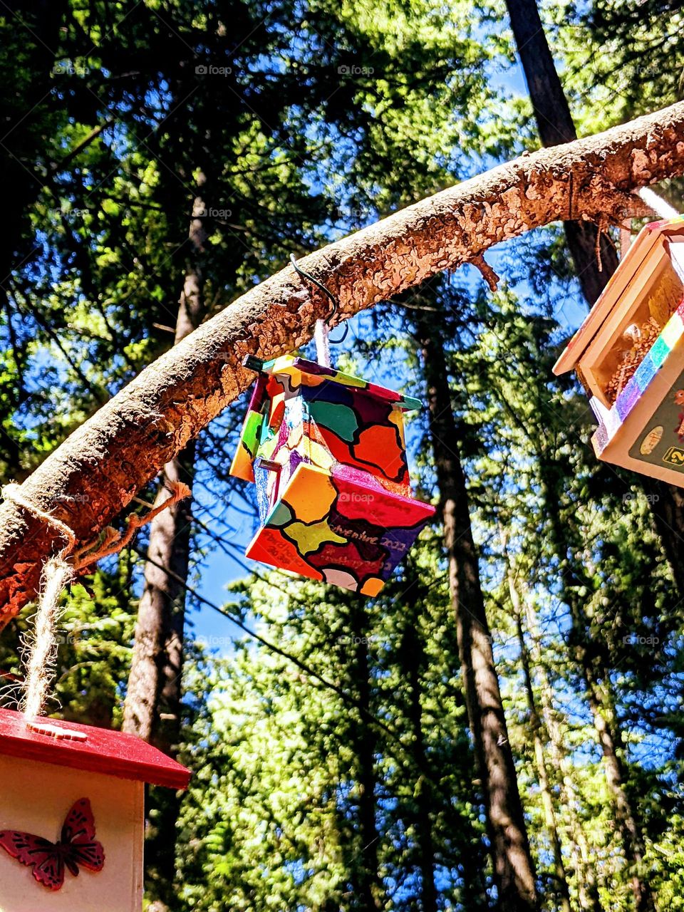 Bird houses in the forrest with colourful drawings