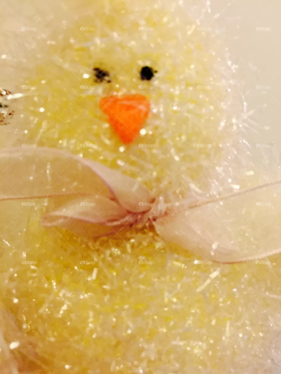 My duck 