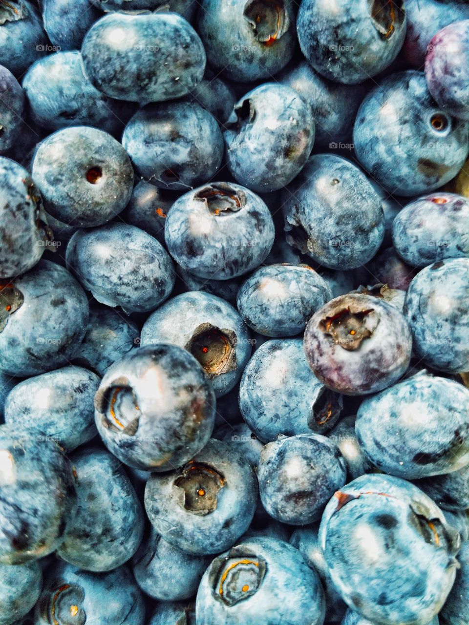A lot of blueberries. Delicious berry
