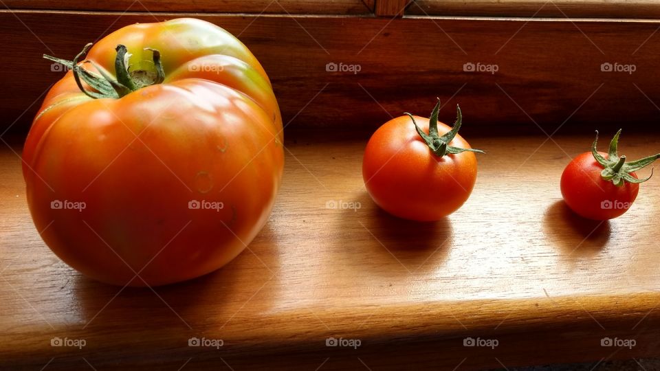 Tomates primos
