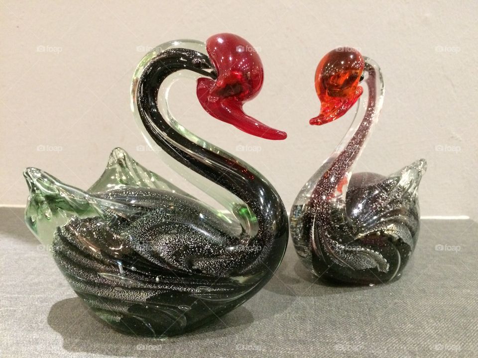 Fragile Love. The love of swans capture the heart of the artist.
