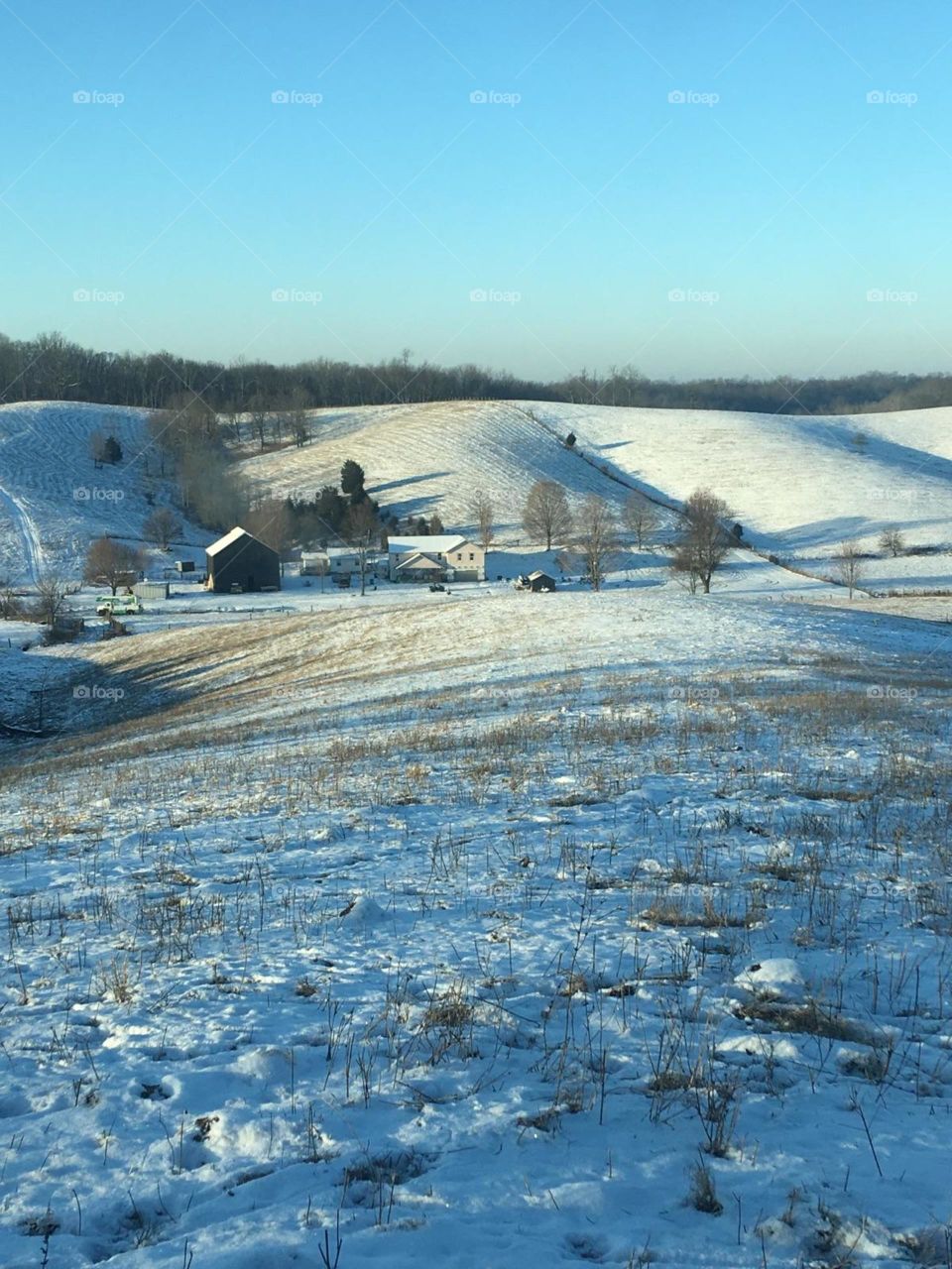 Snow covered farm in Kentucky.