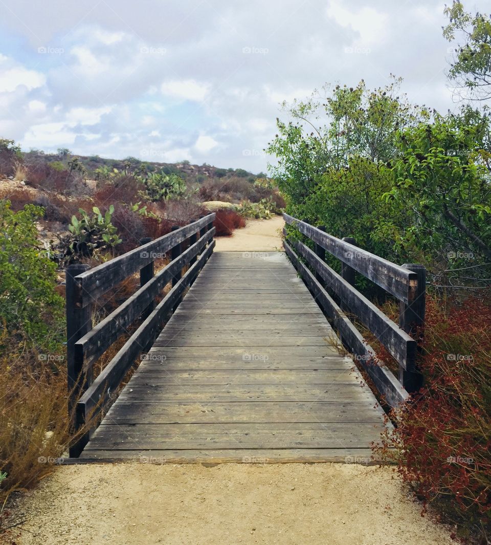 Time to Cross the Bridge 