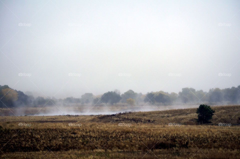 Fall fog of the lake in Colorado