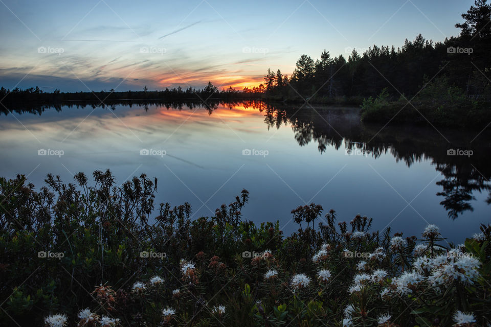 Morning. Nature. National park.