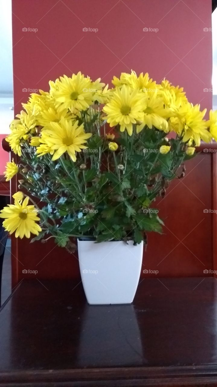flores de mesa