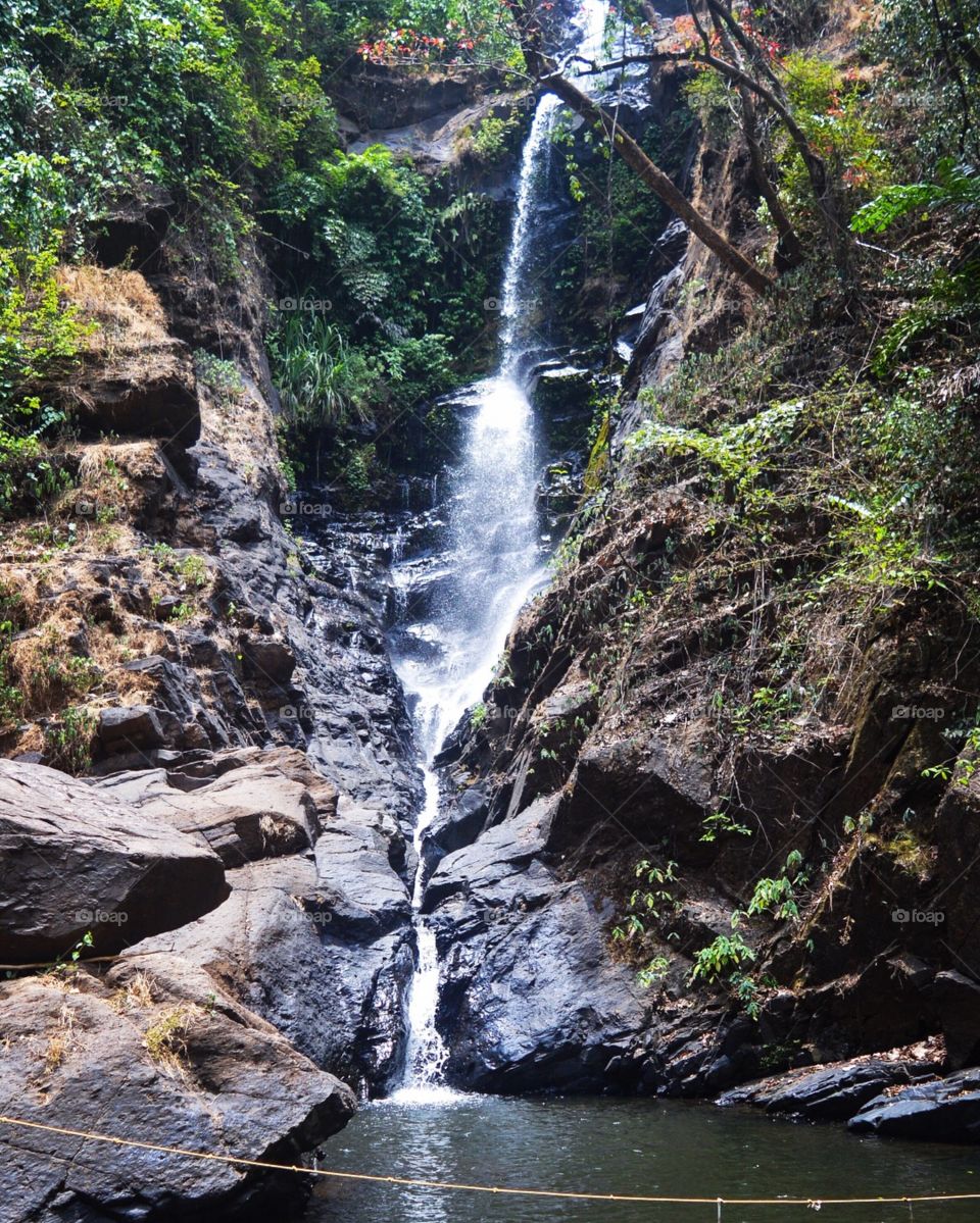 Water Fall