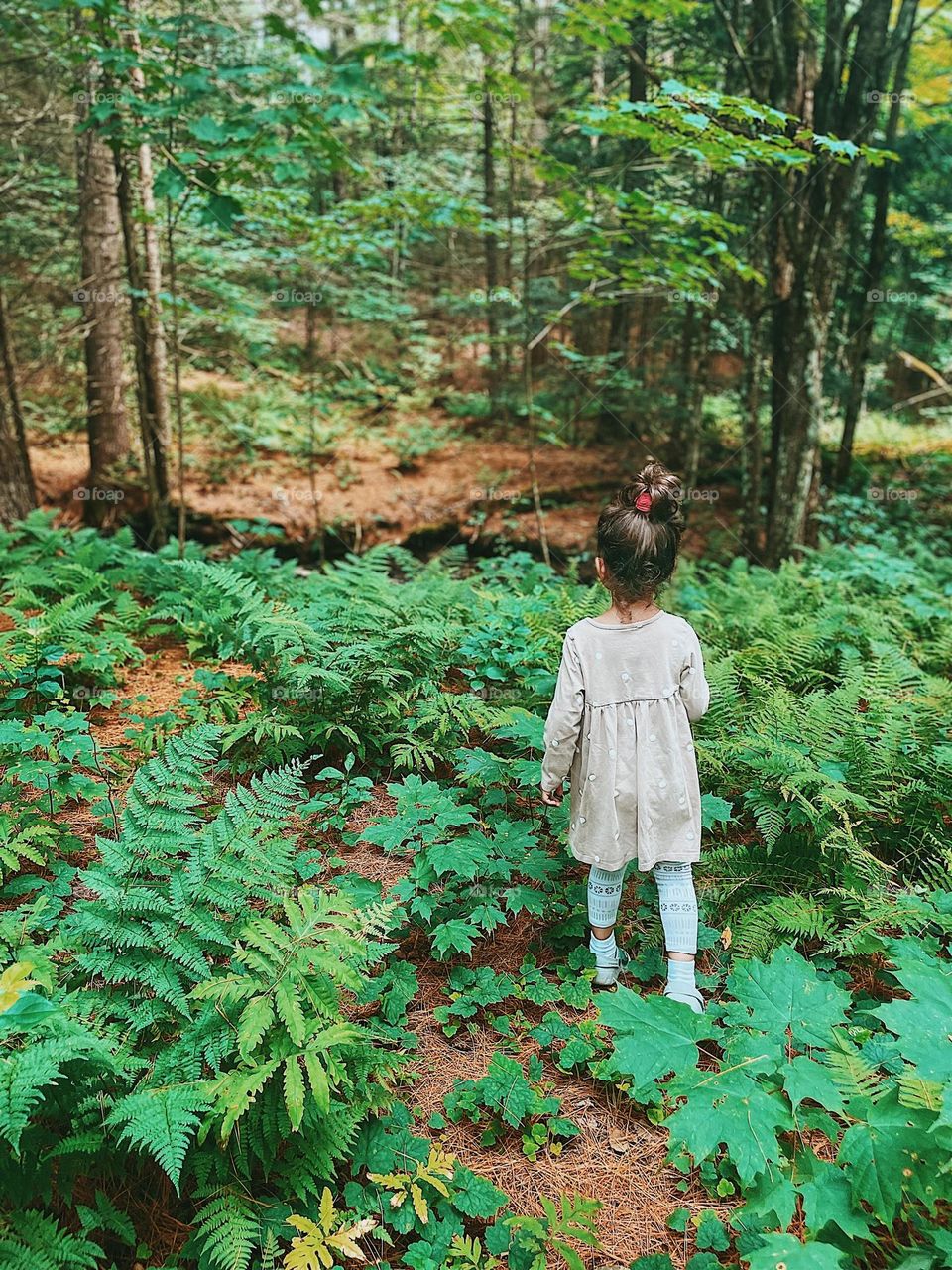 Little girl walks into the woods, walking into the forest, exploring nature with kids, toddler girl peers into forest, hiking in the summertime with kids 